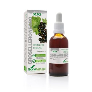 Soria Natural Grosellero Negro Extracto Glicerina 50ml