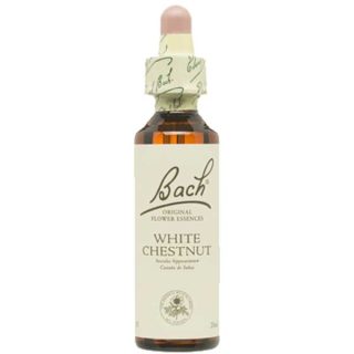 Flower Bach Bach 35 Castaño Indias 20ml