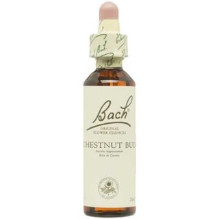 Flower Bach Bach 7 Brote Castaño 20ml
