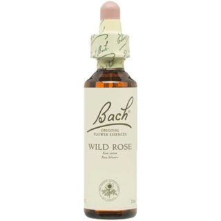 Flower Bach Bach 37 Rosa Silvestre 20ml