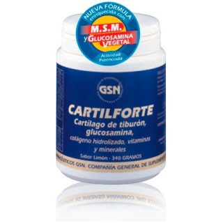 G.s.n. Cartilforte Complex Choco 370 Gramos