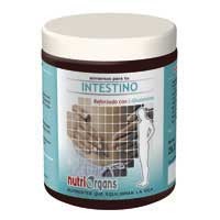 Tong-il Nutriorgans Intestino Polvo 250 Gramos