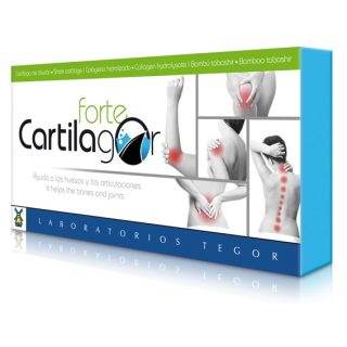 Tegor Cartilago Forte 300mg 40 Cápsulas
