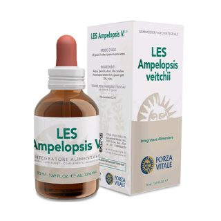 Forza Vitale Extracto Líquido De Les Ampelopsis Weitchii (Vid Canadiense) 50 ml