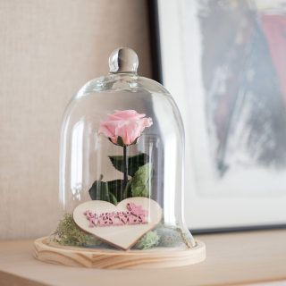 Cúpula Con Pomo Y Rosa Eterna Rosa Especial Mama