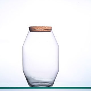 Terrario Diamante Tapon Corcho