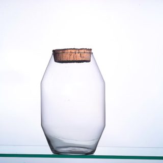 Terrario Diamante Tapon Natural