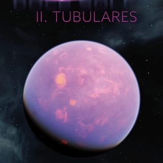 DOCE SOLES 2. TUBULARES