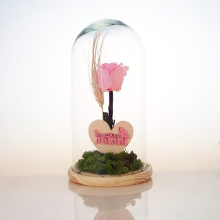 Cúpula Con Rosa Eterna Especial » Mama»