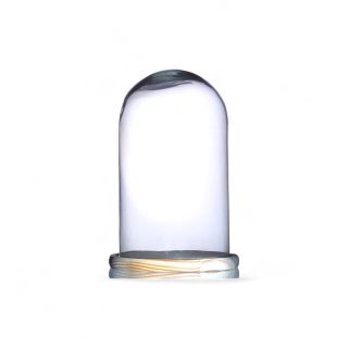 Cúpula Cristal Con Base De Madera De Pino Natural