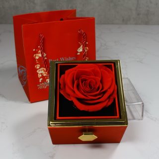 Rosa Eterna Roja Preservada con Gargantilla ‘Te Quiero’ en 100 Idiomas