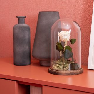 Cupula 25 Con Rosa Blanca Y Led