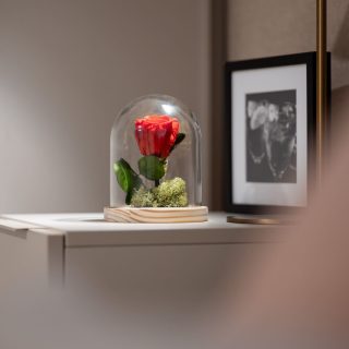 Cupula Con Rosa Roja