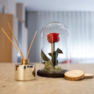 Cupula 15 25 Base Negra Con Led Y Rosa Eterna Roja