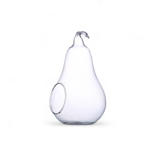 Terrarium Pera terrario  diámetro 15 altura 25 cm