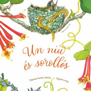 UN NIU ÉS SOROLLÓS (Català)