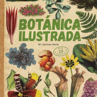 BOTÁNICA ILUSTRADA