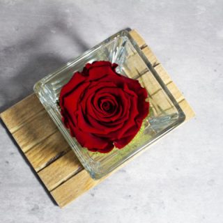 Jarron Con Rosa Eterna