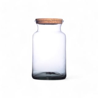 Terrarium Boston Ø15 H20 Con Tapón De Corcho