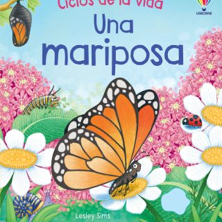 UNA MARIPOSA