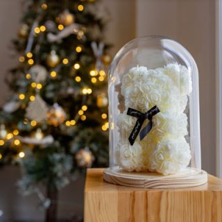 Cupula 20 30 Oso Blanco