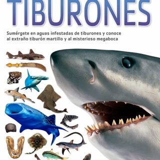 TIBURONES. Colección Descubre