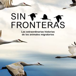 SIN FRONTERAS. La extraordinaria historia de los animales migratorios