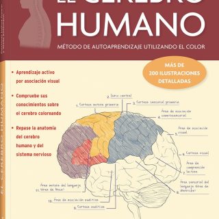 EL CEREBRO HUMANO: Método de autoaprendizaje utilizando el color