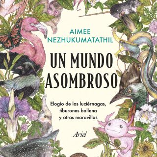 UN MUNDO MARAVILLOSO: Elogio de las luciérnagas, tiburones ballena y otras maravillas