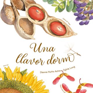 UNA LLAVOR DORM (Català)